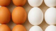 Šest brzih i lakih recepata sa jajima za leto